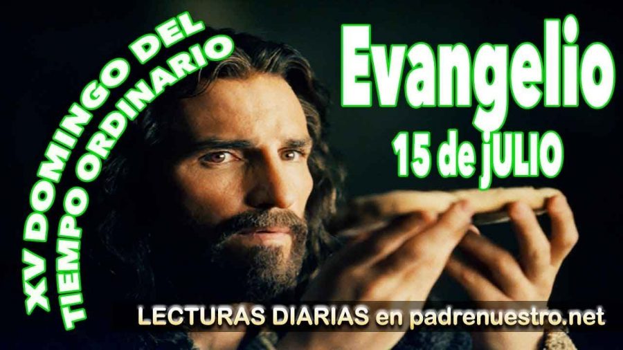 Evangelio del día Lecturas del Domingo XV Tiempo ordinario