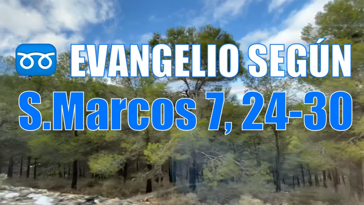 Evangelio del día 11 de febrero Quinta semana del tiempo ordinario