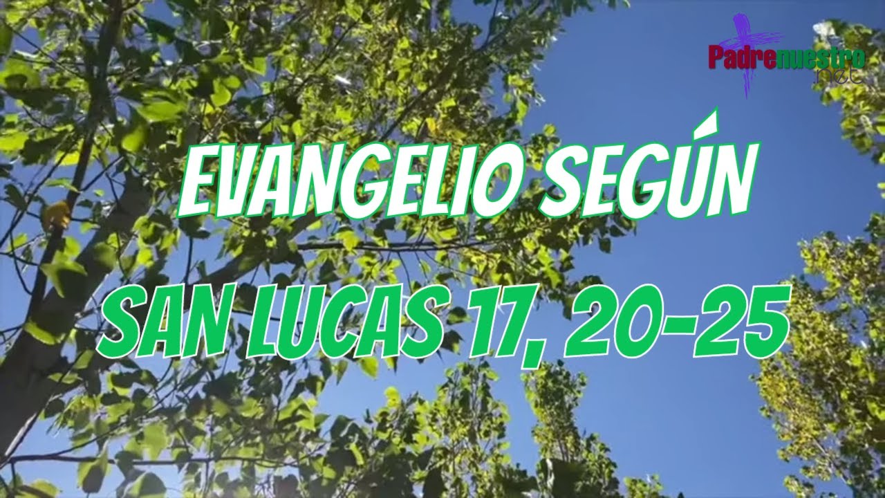 ᐅ Evangelio del día 12 de noviembre con el Padre Guillermo Serra